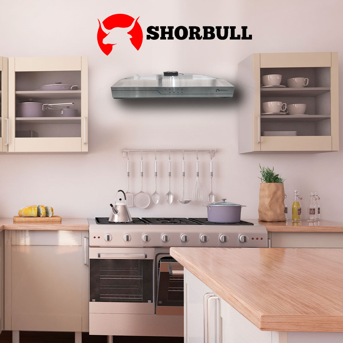Campana 60cm Acero Inoxidable con  Luz Led Shorbull